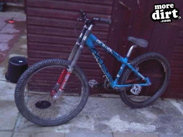 Commencal - Animal Max max