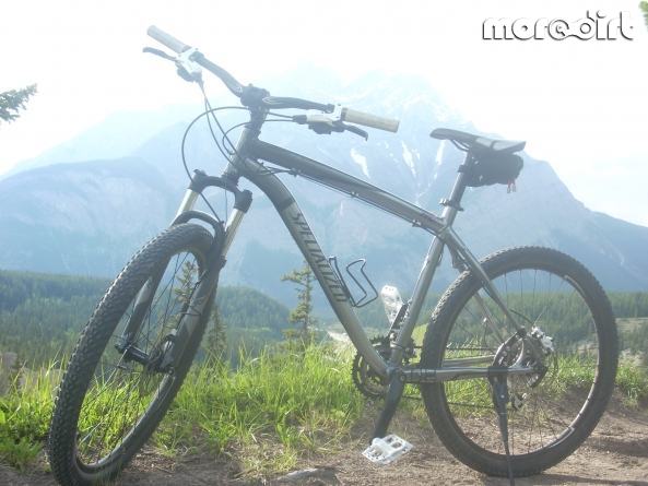 Specialized - 2010 Rockhopper Expert