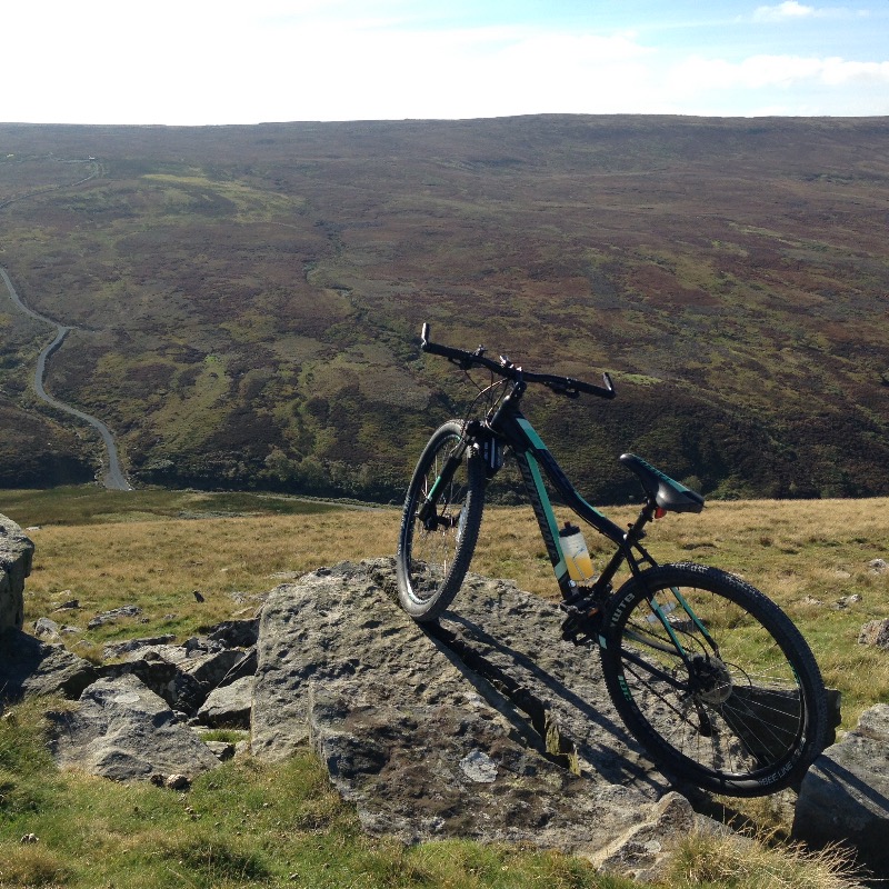 cannondale trail tango