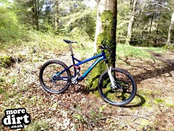 Specialized - Pitch Comp