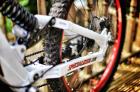 Specialized - Team DH (Shaun Palmer 2000)