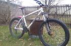 Dialled Bikes - Prince Albert (SOLD)