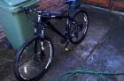 specialized - rockhopper 29 2014