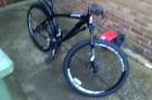 specialized - rockhopper 29 2014