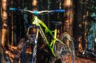 Orbea - Rallon x10