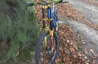 Saracen - Rush DH 1999