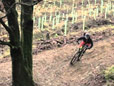 New Trail: Cwmcarn