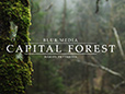 Capital Forest