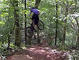 Ashton Hill Bike Park