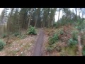 Haldon Forest Red and Black run