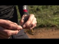 How To Repair A Broken Chain