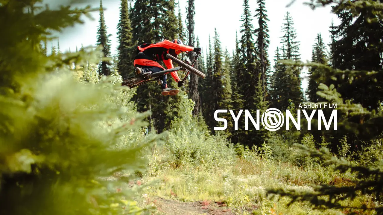 Deity: Synonym Featuring Bas van Steenbergen