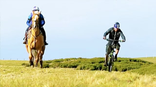 Danny MacAskill vs a Horse