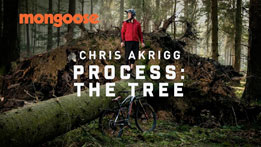 Chris Akrigg Process: The Tree