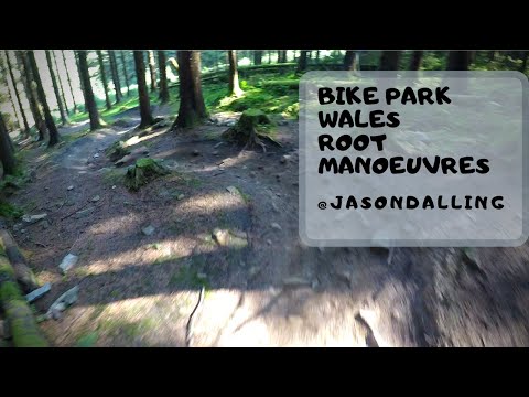 POV - BIKE PARK WALES - ROOT MANOEUVRES