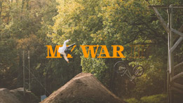 My War II - Paul Couderc