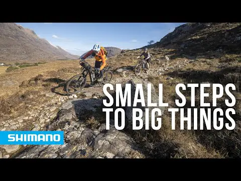 Evolution Stories: Small steps to big things