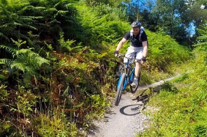 haldon hill mountain biking