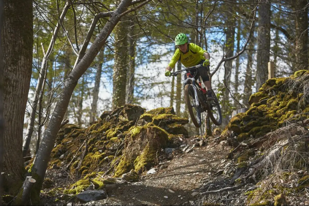 marin trail gwydyr forest