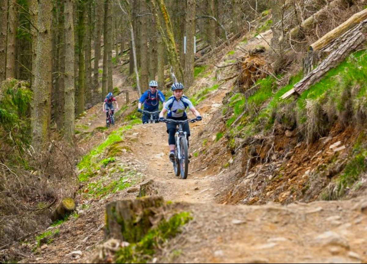 cwmcarn forest drive mountain bike trail