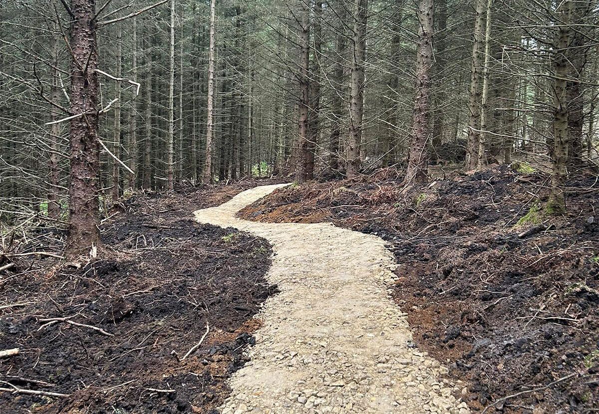 New Red Mountain Bike Trail Build at Hamsterley Forest