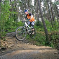 hamsterley forest bike park