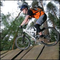 hamsterley forest bike park