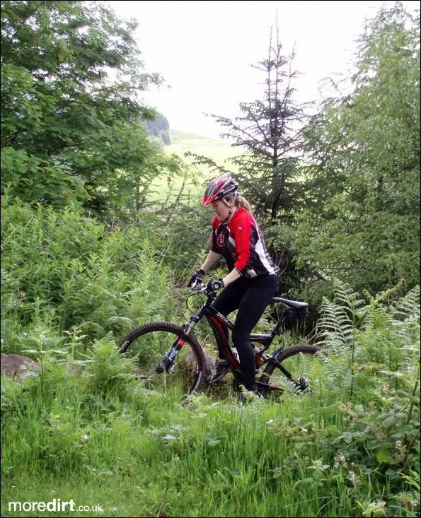 The Wall Trail - Afan Forest