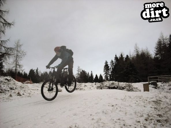 Freeride Park - Glentress