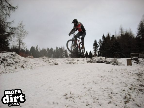 Freeride Park - Glentress