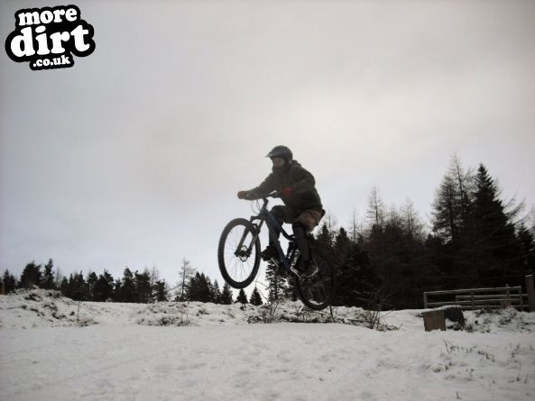 Freeride Park - Glentress