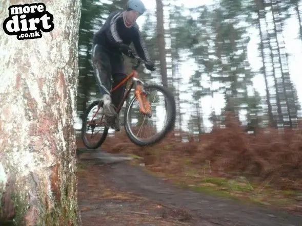 Lime Burner Trail - Thetford Forest