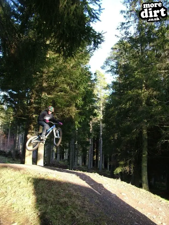 Freeride Park - Glentress