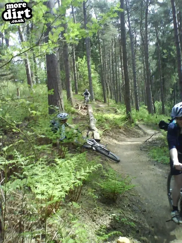 Dalby Forest Red Trail