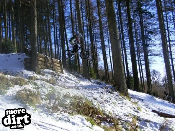 Ae Downhill Trail