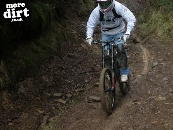 Rheola Downhill Mountain Bike Trail