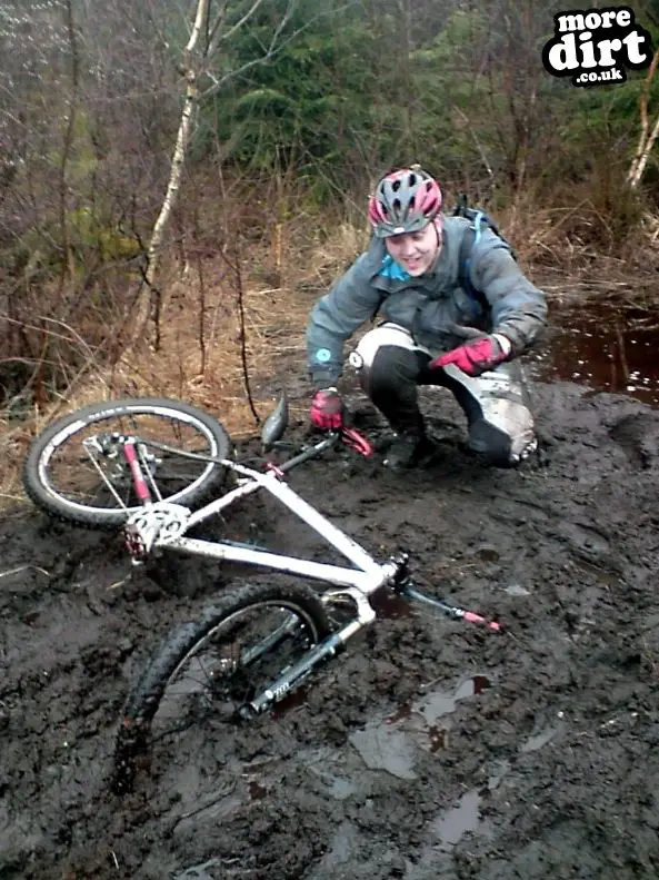 delamere forest mtb trails