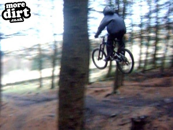 Buckstones Trails