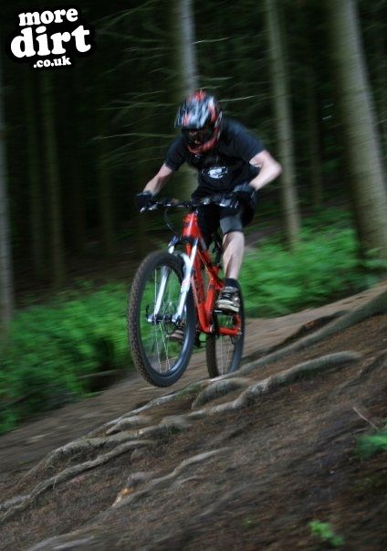 Rogate Downhill Mountain Bike Park