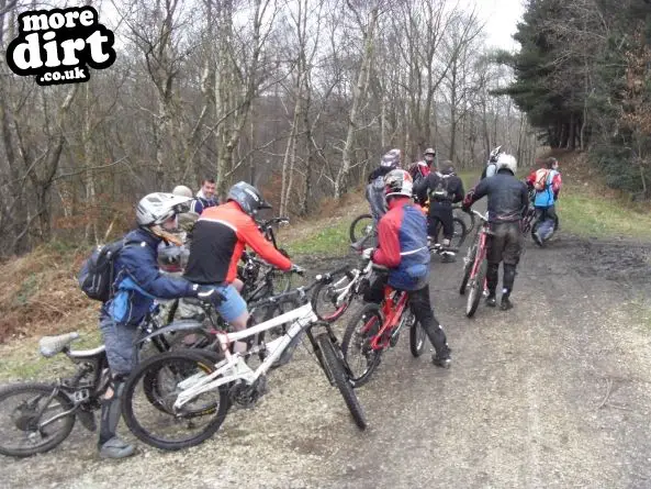 Wharncliffe Woods - DH Trails