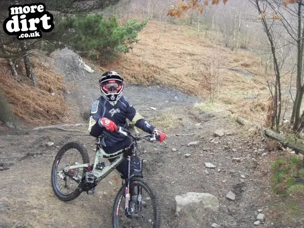 Wharncliffe Woods - DH Trails