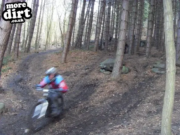 Wharncliffe Woods - DH Trails