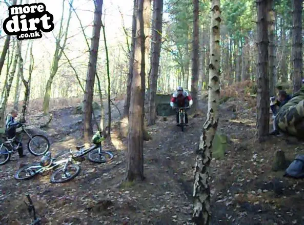 Wharncliffe Woods - DH Trails