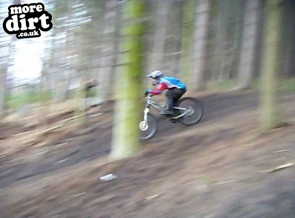 Wharncliffe Woods - DH Trails