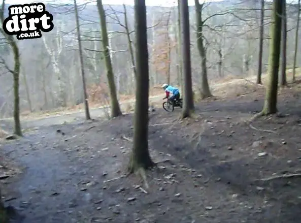 Wharncliffe Woods - DH Trails