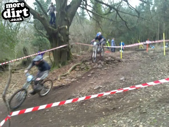 Wentwood Forest Downhill Trail