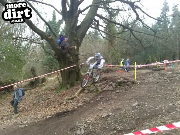 Wentwood Forest Downhill Trail