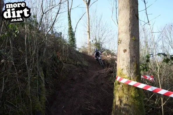 Wentwood Forest Downhill Trail