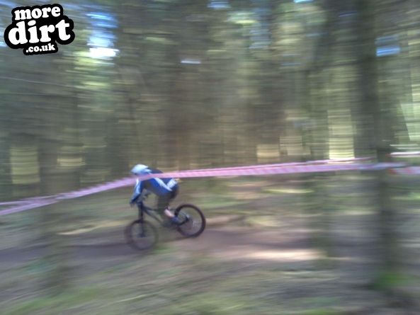 Wentwood Forest Downhill Trail