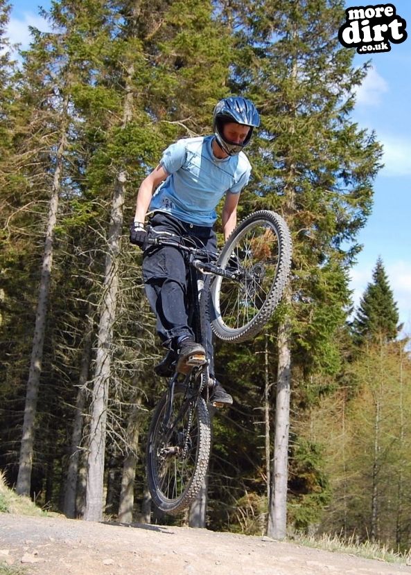 Freeride Park - Glentress